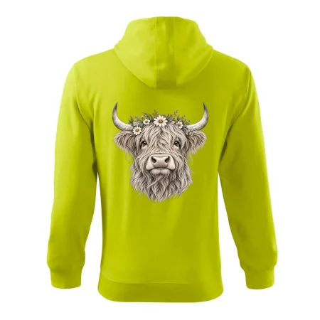 Highlandská kráva s květinami
