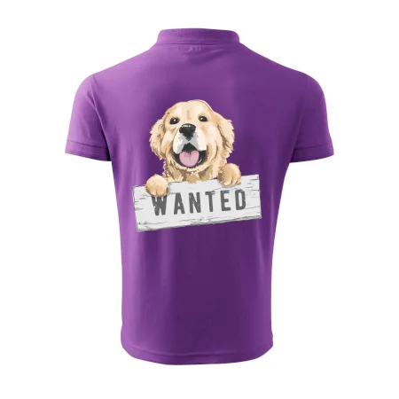Zlatý retriever - štěně wanted
