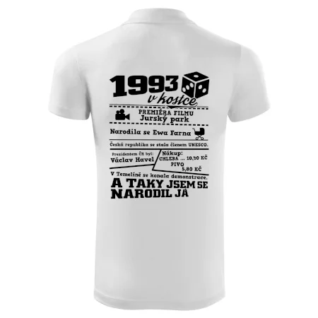 1993 v kostce
