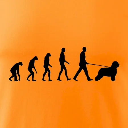 Evoluce pes Briard