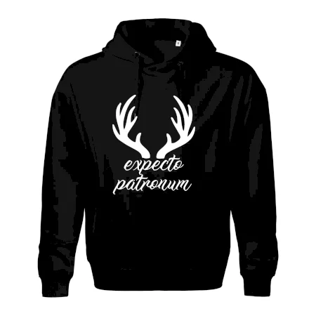 Harry - Expecto patronum