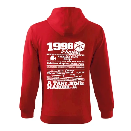 1996 v kostce