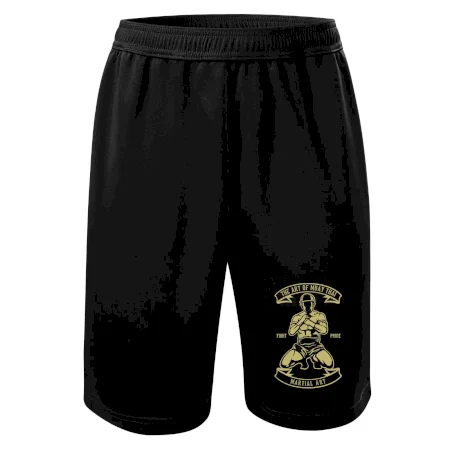 Art Of Muay Thai