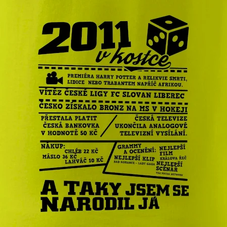 2011 v kostce