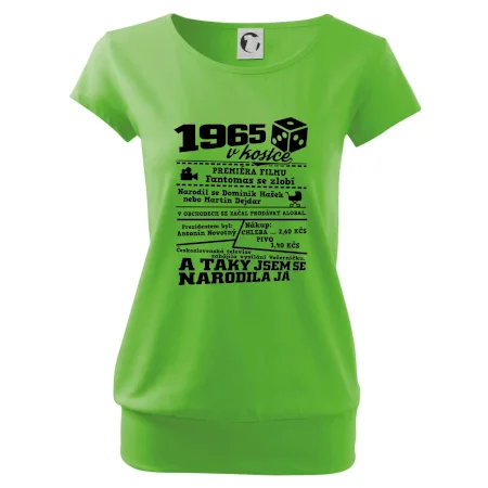 1965 v kostce