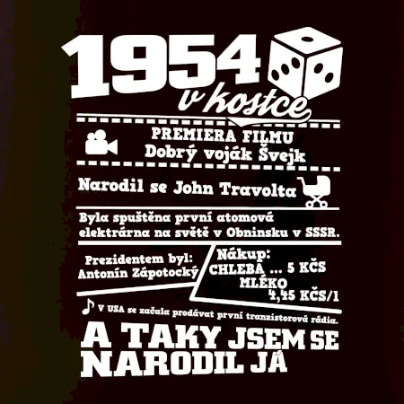 1954 v kostce