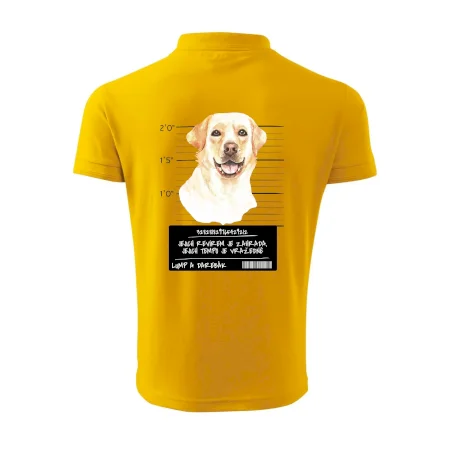 Lump a darebák labrador