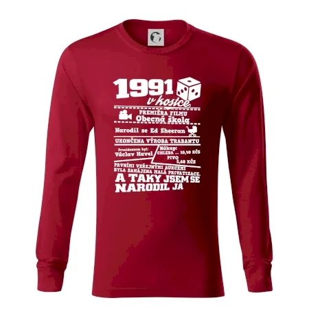 1991 v kostce
