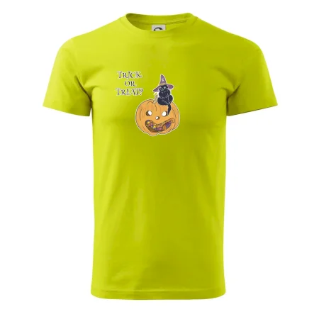 Dýně a kočka