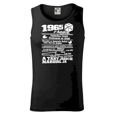 1965 v kostce