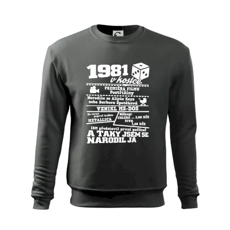 1981 v kostce