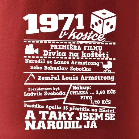 1971 v kostce