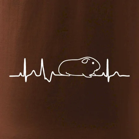 EKG morče