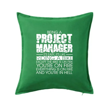 Being A Project Manager - bike