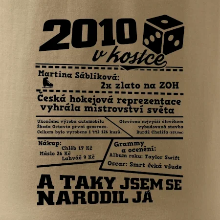 2010 v kostce