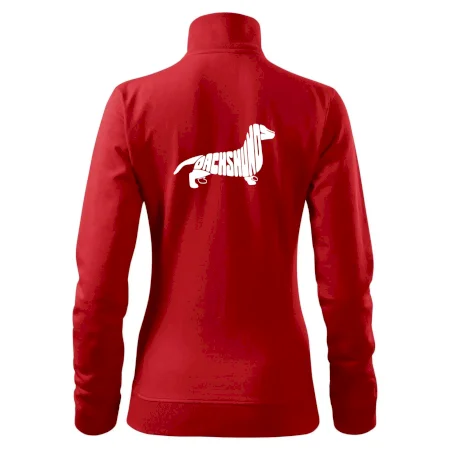 Jezevčík - Dachshund
