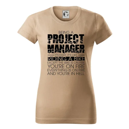 Being A Project Manager - bike