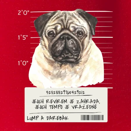 Lump a darebák mopsík