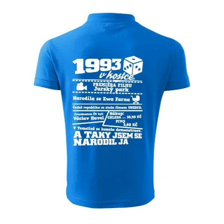 1993 v kostce