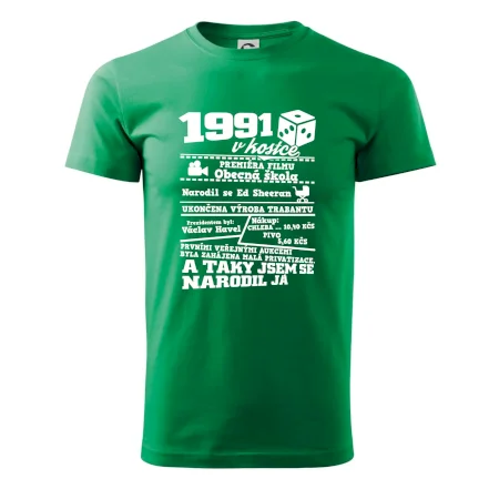 1991 v kostce
