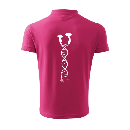 DNA houby