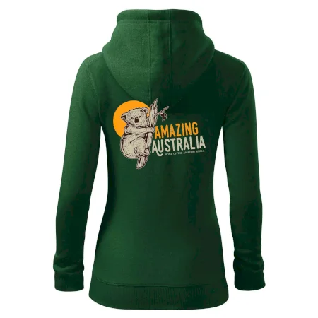 Amazing Australia koala