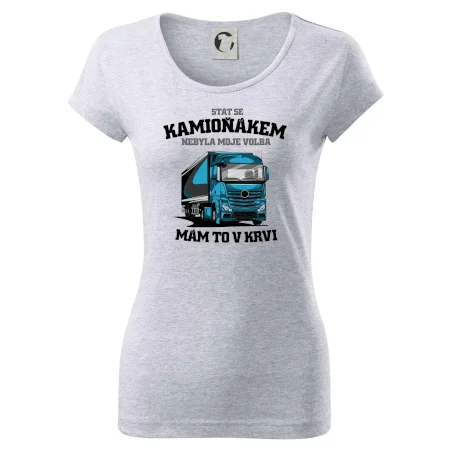 Stát se kamioňákem nebyla moje volba