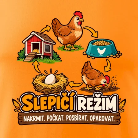 Slepičí režim od krmení po sběr vajec