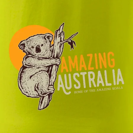 Amazing Australia koala