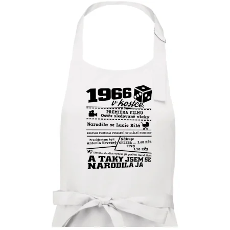 1966 v kostce