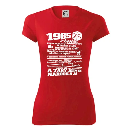 1965 v kostce