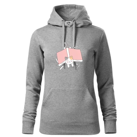 Učení na státnice kočka
