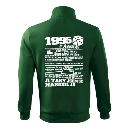 1995 v kostce