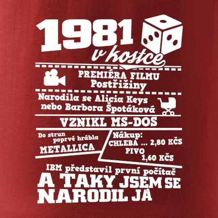 1981 v kostce