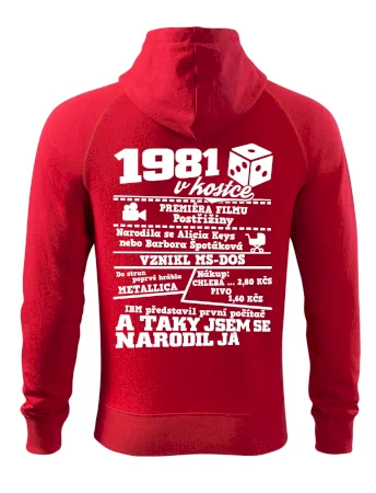 1981 v kostce