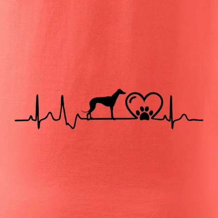 Chrt - Ekg