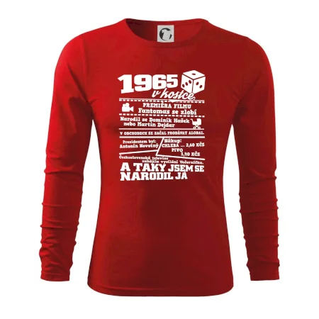 1965 v kostce