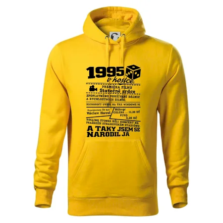 1995 v kostce