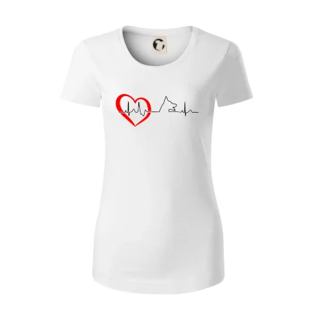 Německý ovčák ekg