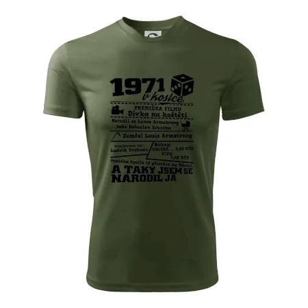 1971 v kostce
