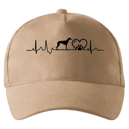 Chrt - Ekg