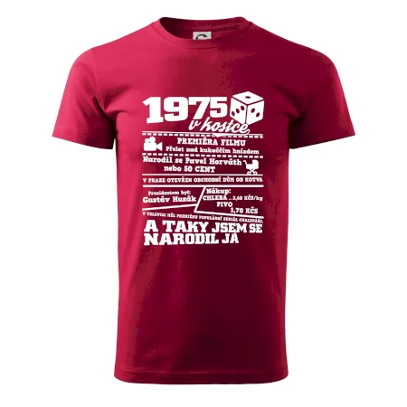 1975 v kostce