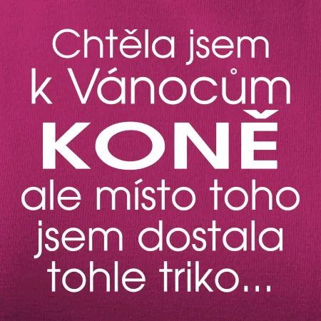 Chtěla jsem k Vánocům koně