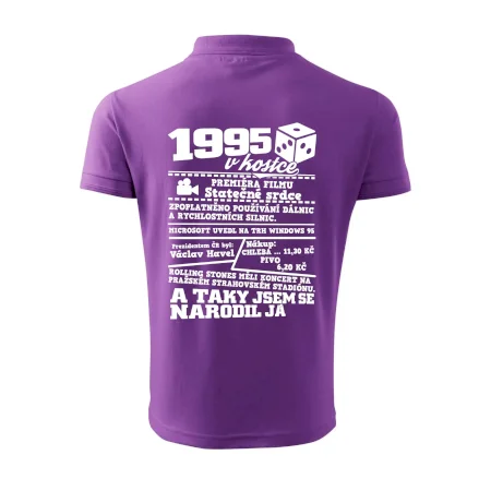 1995 v kostce
