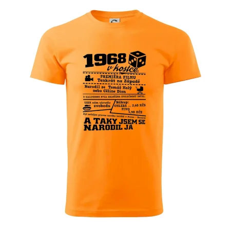 1968 v kostce