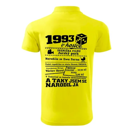 1993 v kostce