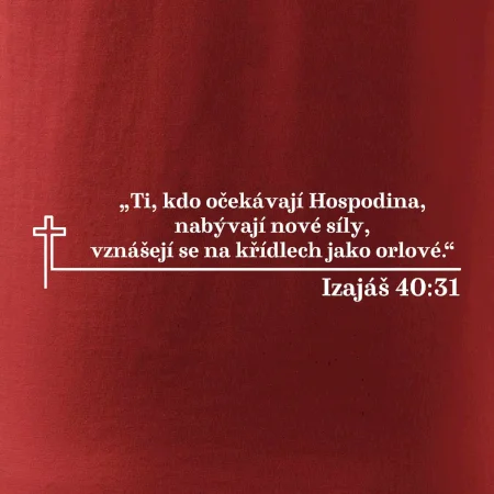 Citáty z bible - Izajáš 40:31