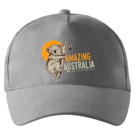Amazing Australia koala
