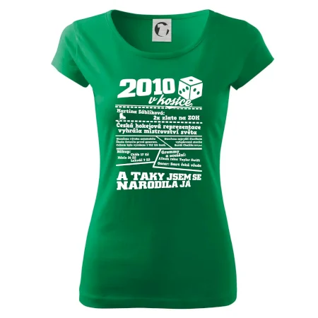2010 v kostce