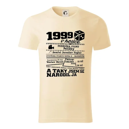 1999 v kostce